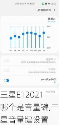 三星E12021哪个是音量键,三星音量键设置