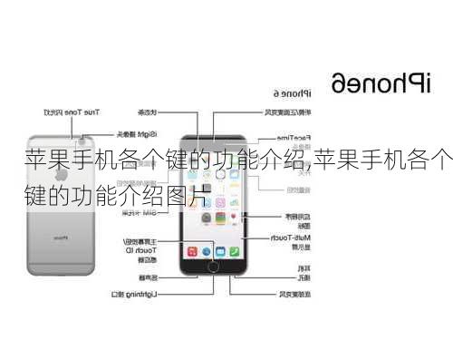 苹果手机各个键的功能介绍,苹果手机各个键的功能介绍图片