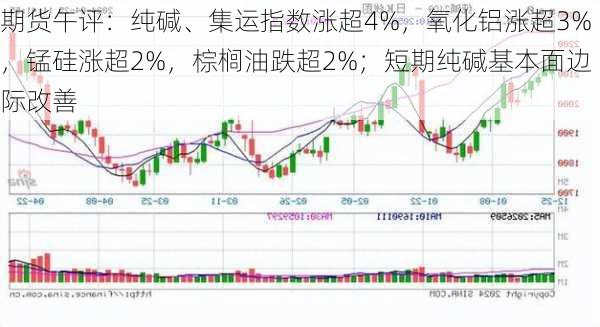 期货午评：纯碱、集运指数涨超4%，氧化铝涨超3%，锰硅涨超2%，棕榈油跌超2%；短期纯碱基本面边际改善