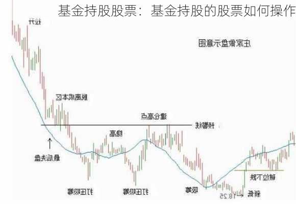 基金持股股票：基金持股的股票如何操作