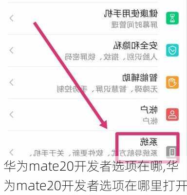 华为mate20开发者选项在哪,华为mate20开发者选项在哪里打开