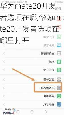 华为mate20开发者选项在哪,华为mate20开发者选项在哪里打开