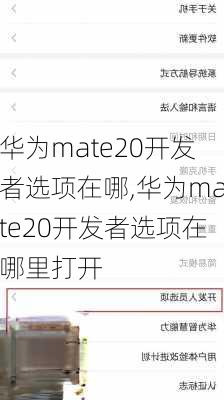 华为mate20开发者选项在哪,华为mate20开发者选项在哪里打开