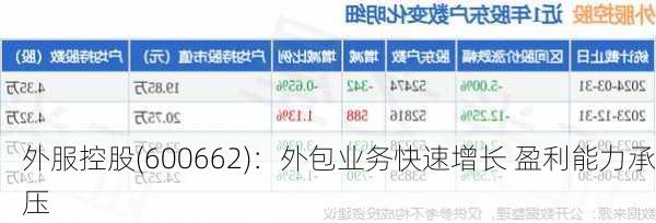 外服控股(600662)：外包业务快速增长 盈利能力承压