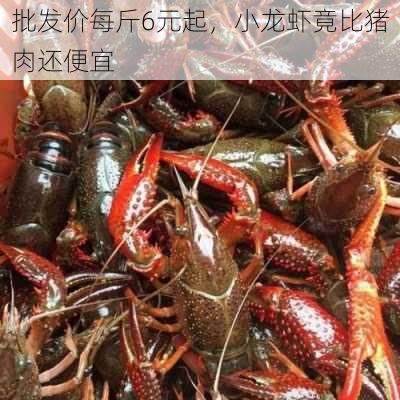 批发价每斤6元起，小龙虾竟比猪肉还便宜