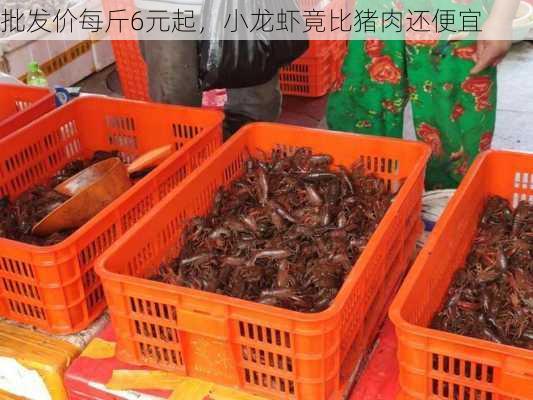 批发价每斤6元起，小龙虾竟比猪肉还便宜