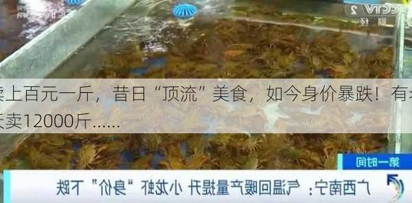 曾卖上百元一斤，昔日“顶流”美食，如今身价暴跌！有老板一天卖12000斤......