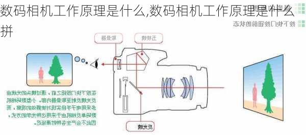 数码相机工作原理是什么,数码相机工作原理是什么拼