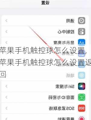 苹果手机触控球怎么设置,苹果手机触控球怎么设置返回