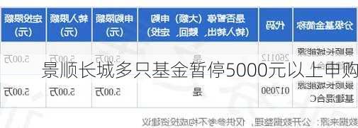 景顺长城多只基金暂停5000元以上申购