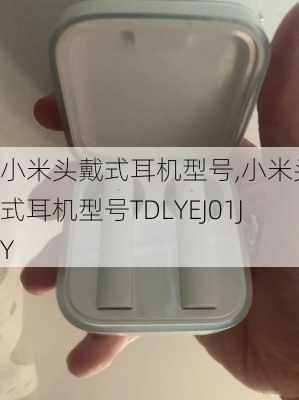 小米头戴式耳机型号,小米头戴式耳机型号TDLYEJ01JY