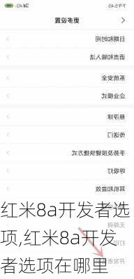 红米8a开发者选项,红米8a开发者选项在哪里