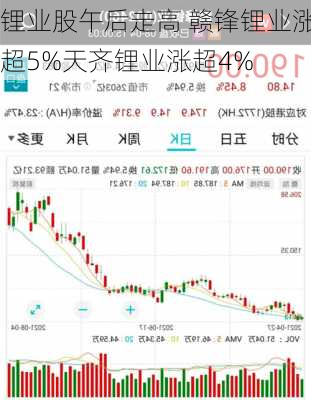 锂业股午后走高 赣锋锂业涨超5%天齐锂业涨超4%