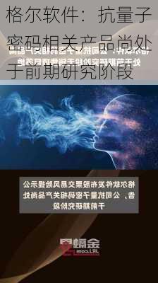 格尔软件：抗量子密码相关产品尚处于前期研究阶段