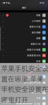 苹果手机安全设置在哪里,苹果手机安全设置在哪里打开