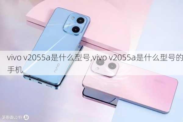 vivo v2055a是什么型号,vivo v2055a是什么型号的手机