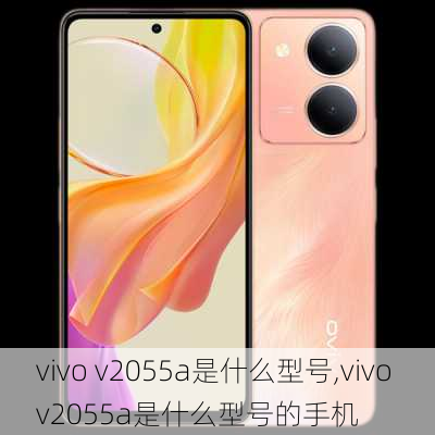 vivo v2055a是什么型号,vivo v2055a是什么型号的手机