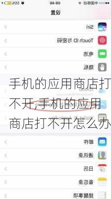 手机的应用商店打不开,手机的应用商店打不开怎么办