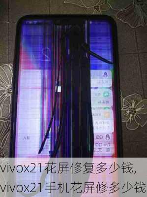 vivox21花屏修复多少钱,vivox21手机花屏修多少钱