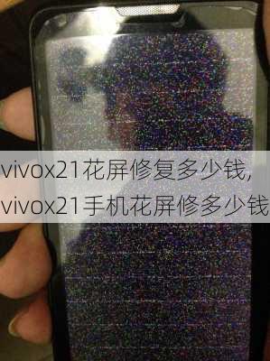 vivox21花屏修复多少钱,vivox21手机花屏修多少钱