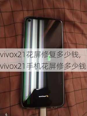 vivox21花屏修复多少钱,vivox21手机花屏修多少钱