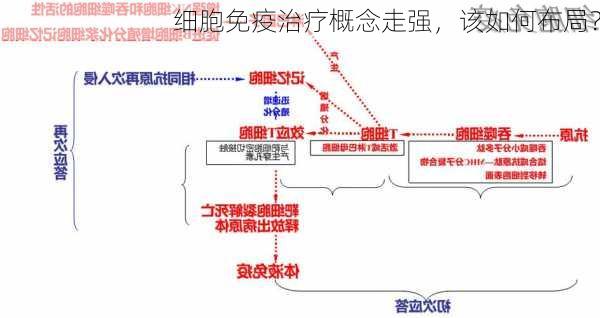 细胞免疫治疗概念走强，该如何布局？