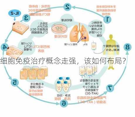 细胞免疫治疗概念走强，该如何布局？