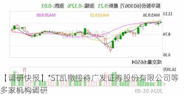 【调研快报】*ST凯撒接待广发证券股份有限公司等多家机构调研