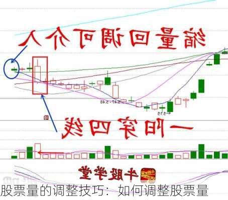 股票量的调整技巧：如何调整股票量