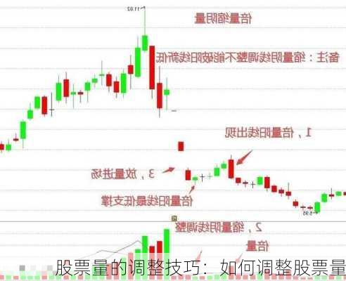 股票量的调整技巧：如何调整股票量