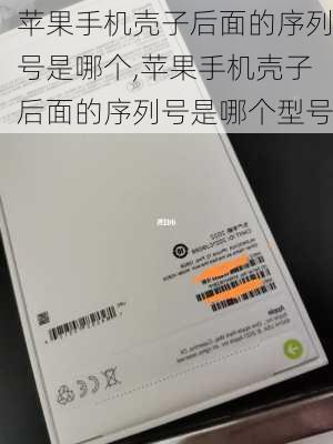 苹果手机壳子后面的序列号是哪个,苹果手机壳子后面的序列号是哪个型号