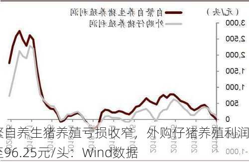 自繁自养生猪养殖亏损收窄，外购仔猪养殖利润增至96.25元/头：Wind数据