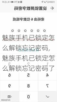 魅族手机已锁定怎么解锁忘记密码,魅族手机已锁定怎么解锁忘记密码了