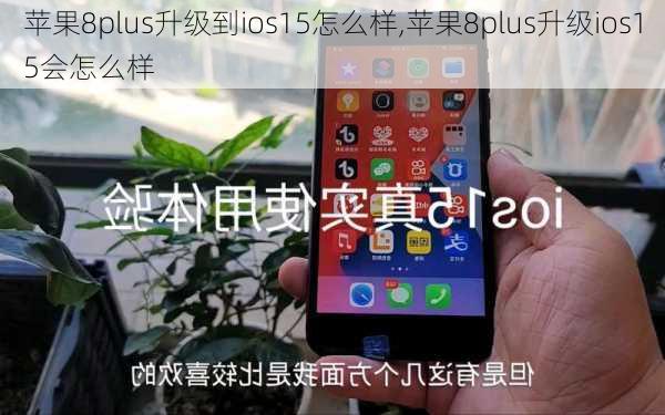 苹果8plus升级到ios15怎么样,苹果8plus升级ios15会怎么样