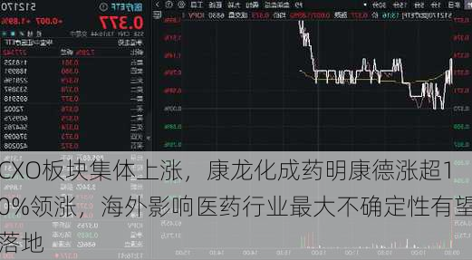 CXO板块集体上涨，康龙化成药明康德涨超10%领涨，海外影响医药行业最大不确定性有望落地