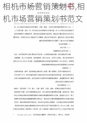 相机市场营销策划书,相机市场营销策划书范文