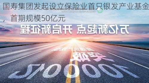 国寿集团发起设立保险业首只银发产业基金，首期规模50亿元