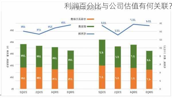 利润百分比与公司估值有何关联？