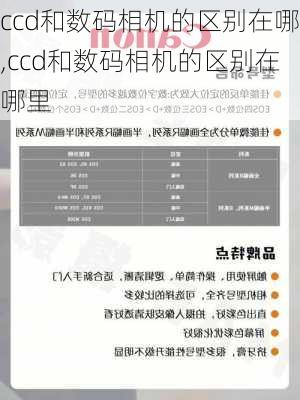 ccd和数码相机的区别在哪,ccd和数码相机的区别在哪里