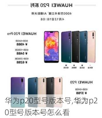 华为p20型号版本号,华为p20型号版本号怎么看