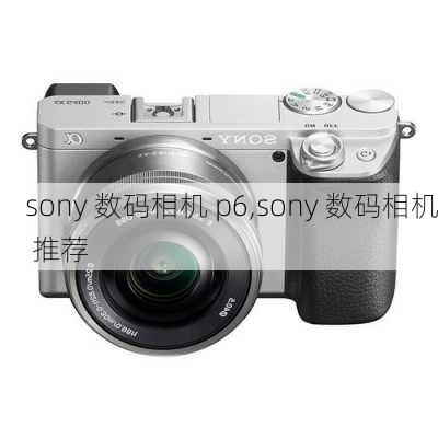 sony 数码相机 p6,sony 数码相机 推荐