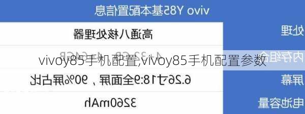 vivoy85手机配置,vivoy85手机配置参数