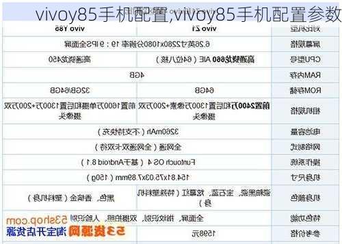 vivoy85手机配置,vivoy85手机配置参数