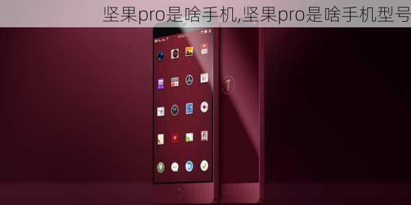 坚果pro是啥手机,坚果pro是啥手机型号