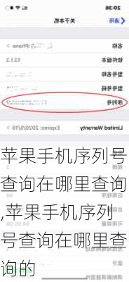 苹果手机序列号查询在哪里查询,苹果手机序列号查询在哪里查询的