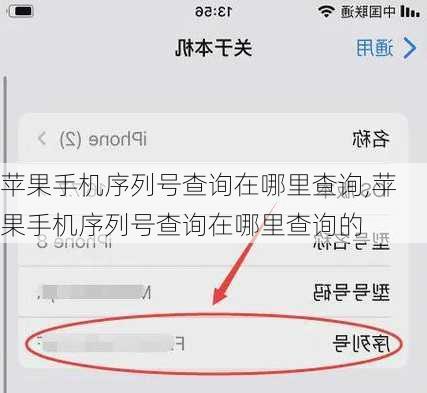 苹果手机序列号查询在哪里查询,苹果手机序列号查询在哪里查询的