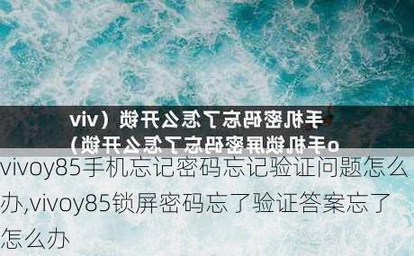 vivoy85手机忘记密码忘记验证问题怎么办,vivoy85锁屏密码忘了验证答案忘了怎么办