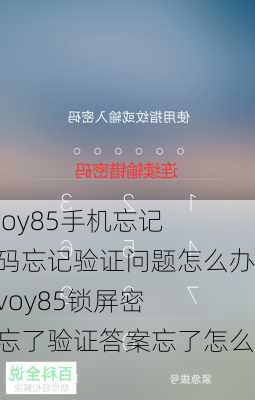 vivoy85手机忘记密码忘记验证问题怎么办,vivoy85锁屏密码忘了验证答案忘了怎么办