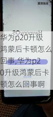 华为p20升级鸿蒙后卡顿怎么回事,华为p20升级鸿蒙后卡顿怎么回事啊