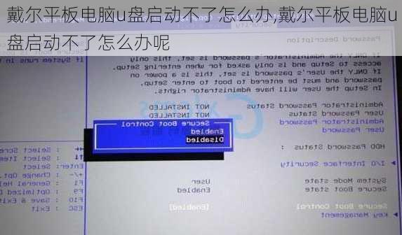 戴尔平板电脑u盘启动不了怎么办,戴尔平板电脑u盘启动不了怎么办呢